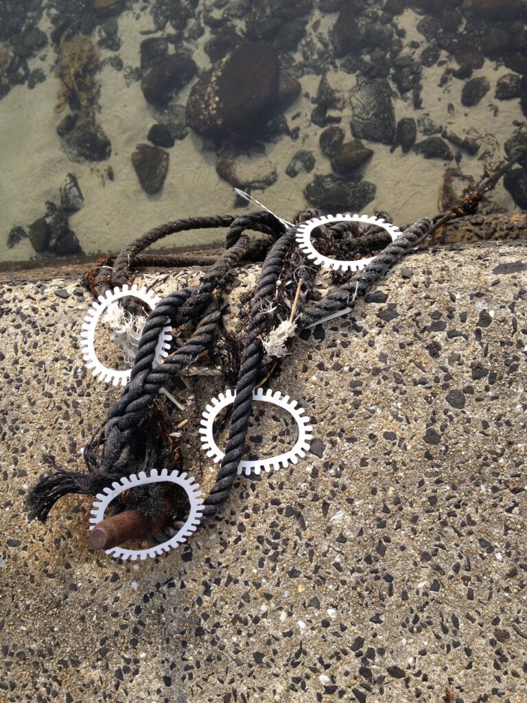 A photographic artwork from the 'Encounters' series by Asahi Tanaka. This is a high-angle, top-down photograph of a site-specific art intervention on a concrete sea wall. Four white, gear-like rings are intertwined with a thick, weathered black rope that rests on the textured concrete at the edge of the clear sea, with rocks and sand visible beneath the water's surface.