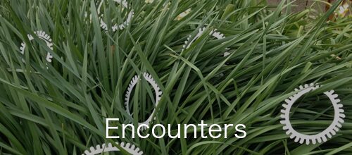 Poetic photographic works documenting symbolic interventions in the everyday landscape, from the Encounters series by Asahi Tanaka.