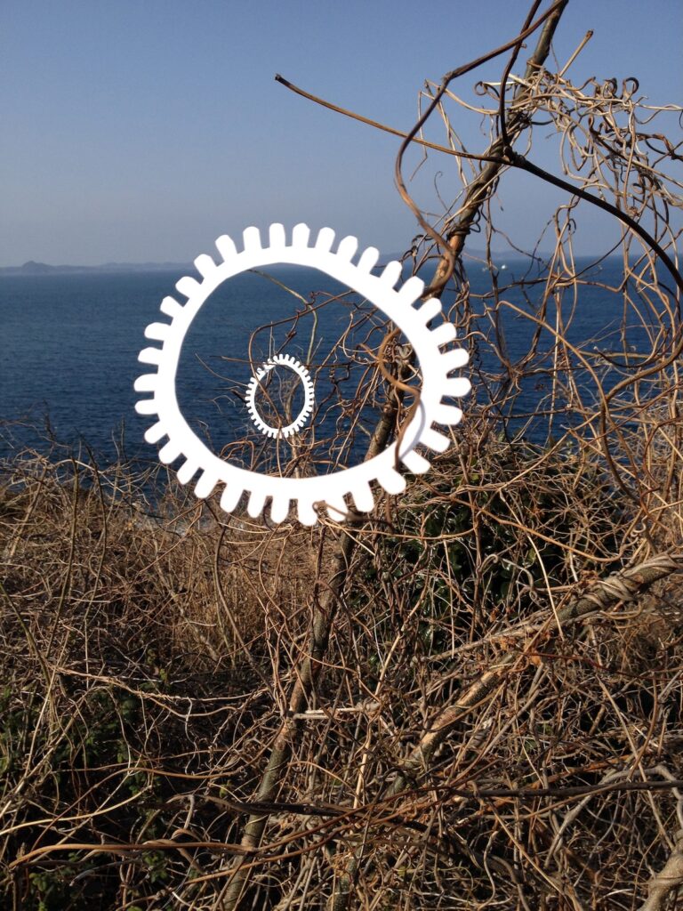 A photographic artwork from the 'Encounters' series by Asahi Tanaka. This conceptual art photograph documents an intervention on a plateau overlooking the ocean. Two white, gear-like rings of different data-sizes are suspended from a mass of tangled, dry vines, and are arranged so that the smaller ring is framed perfectly within the center of the larger ring. This composition creates a visual tunneling effect, with the background showing the deep blue sea and a distant island.