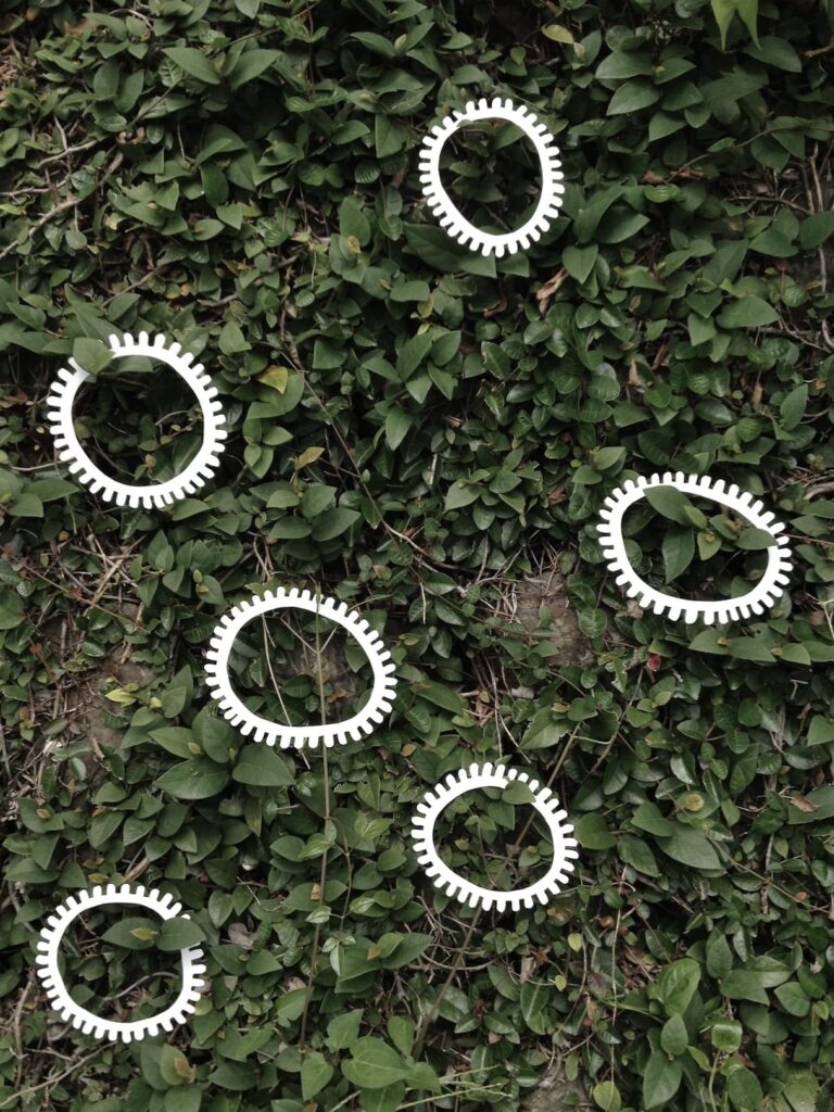A photographic artwork from the 'Encounters' series by Asahi Tanaka. This photograph captures a direct, top-down view of an art intervention on a vertical surface covered with dense, dark green creeping vines. Seven white, gear-like rings are arranged and suspended amongst the leaves, creating a scattered pattern of geometric forms against the organic texture of the foliage.