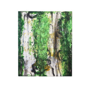 苔 / Moss